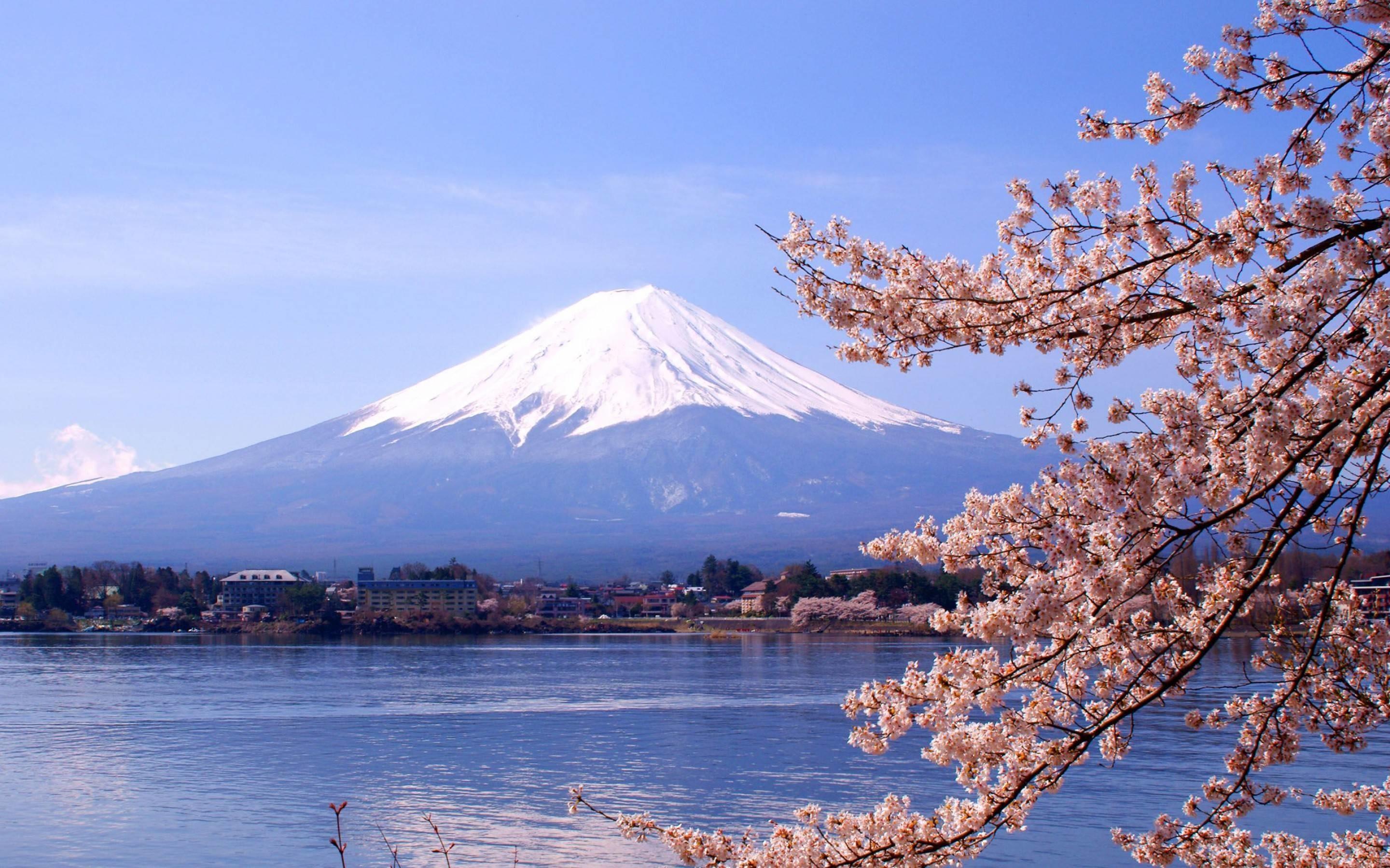 Mount Fuji Pvt. Full Day Trip with English-Speaking Driver